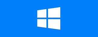 Windows 版本下载